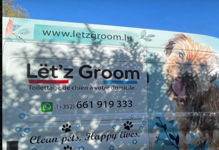 The Lët’z Groom van in daylight, with the painted terrier